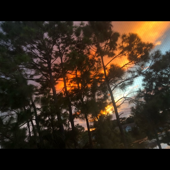 Meet your Posher, Kalea - Picture 1 of 3